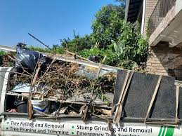 Best Attic Cleanout  in Indian Lake, TX